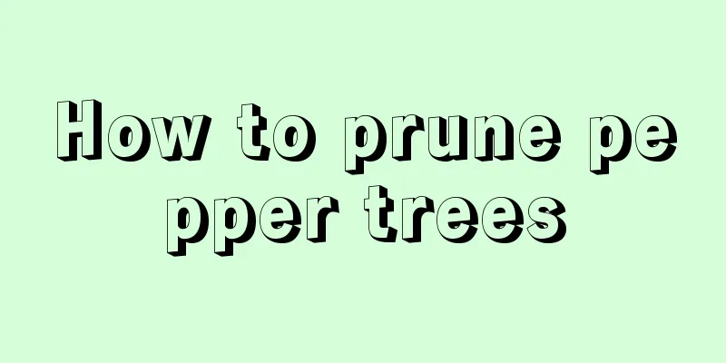 How to prune pepper trees