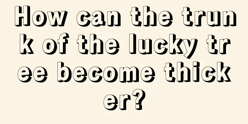 How can the trunk of the lucky tree become thicker?