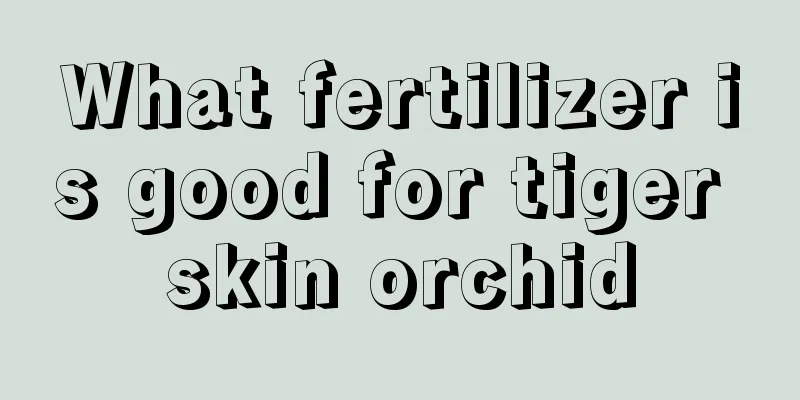 What fertilizer is good for tiger skin orchid