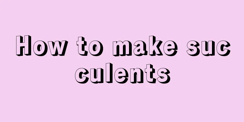 How to make succulents