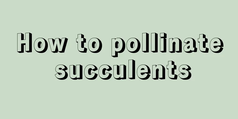 How to pollinate succulents