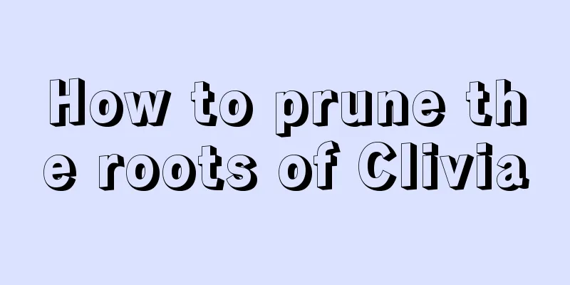 How to prune the roots of Clivia