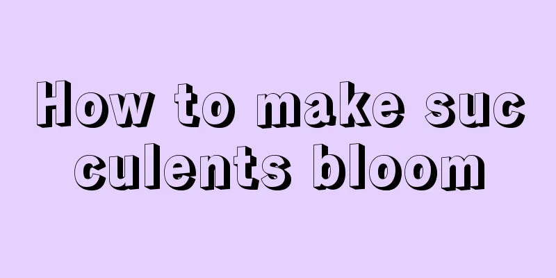 How to make succulents bloom