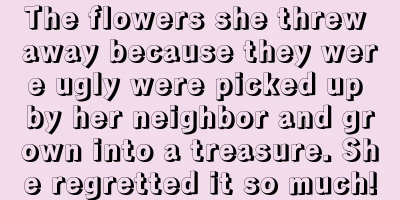 The flowers she threw away because they were ugly were picked up by her neighbor and grown into a treasure. She regretted it so much!