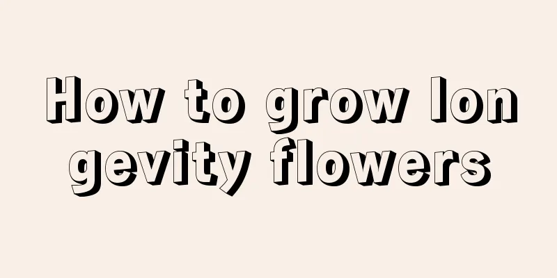 How to grow longevity flowers