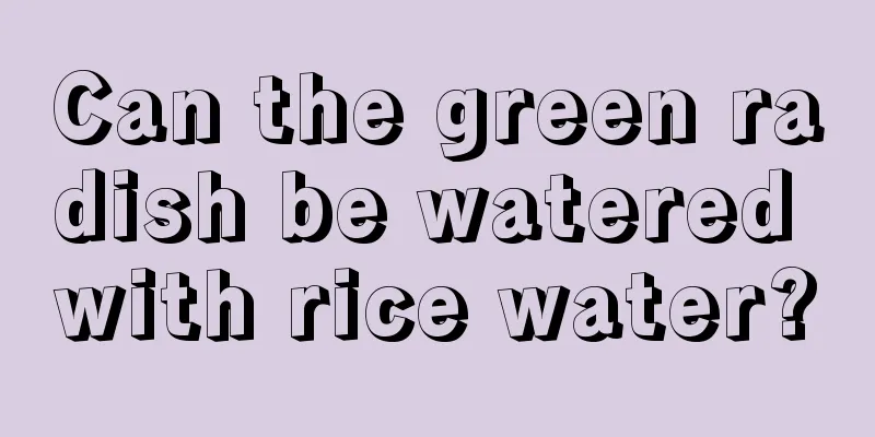 Can the green radish be watered with rice water?