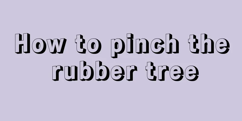 How to pinch the rubber tree