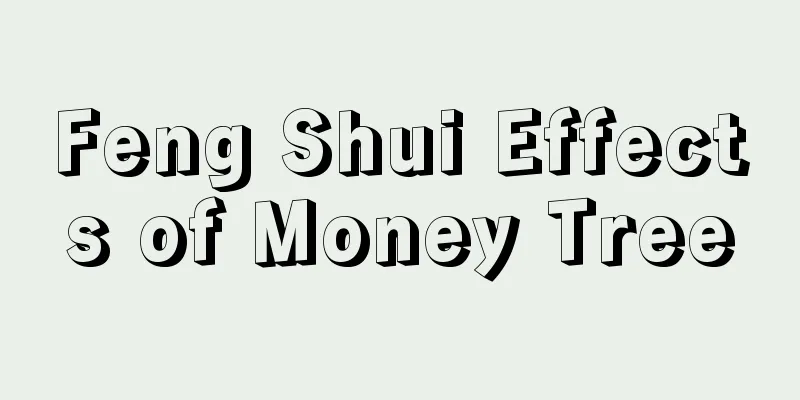 Feng Shui Effects of Money Tree