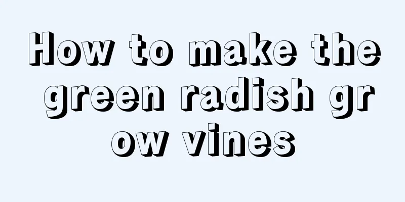 How to make the green radish grow vines