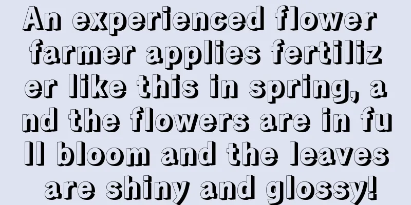 An experienced flower farmer applies fertilizer like this in spring, and the flowers are in full bloom and the leaves are shiny and glossy!