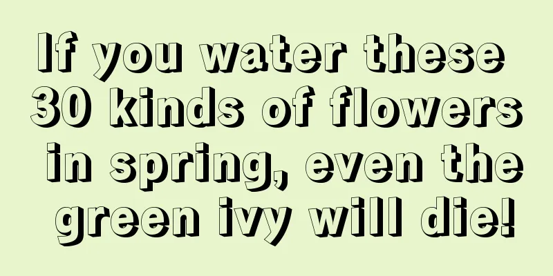 If you water these 30 kinds of flowers in spring, even the green ivy will die!