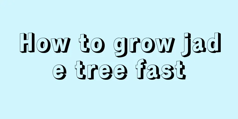 How to grow jade tree fast