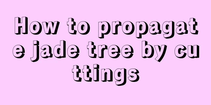 How to propagate jade tree by cuttings