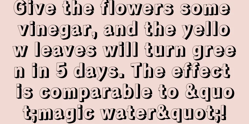 Give the flowers some vinegar, and the yellow leaves will turn green in 5 days. The effect is comparable to "magic water"!