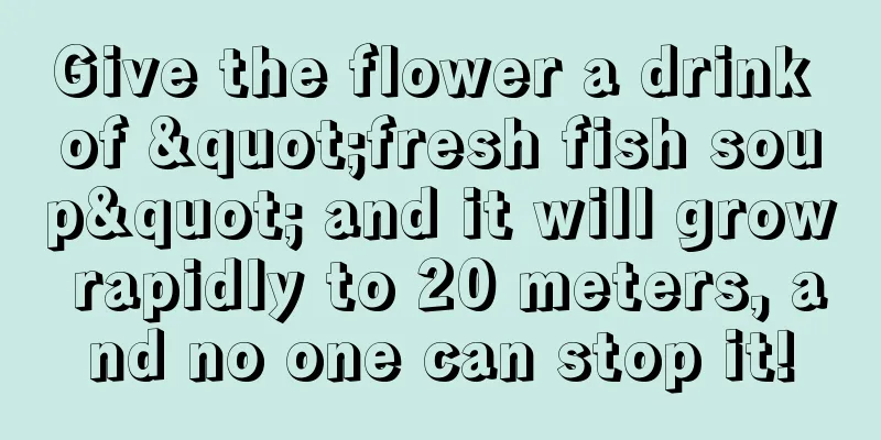 Give the flower a drink of "fresh fish soup" and it will grow rapidly to 20 meters, and no one can stop it!