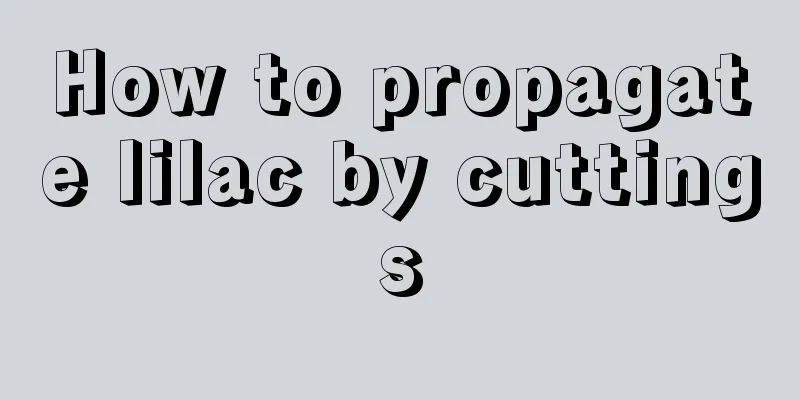 How to propagate lilac by cuttings