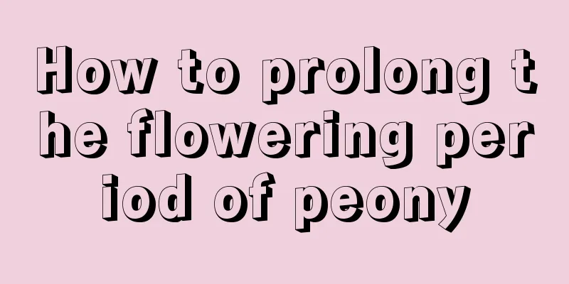 How to prolong the flowering period of peony