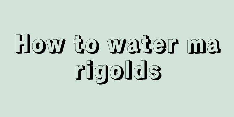 How to water marigolds