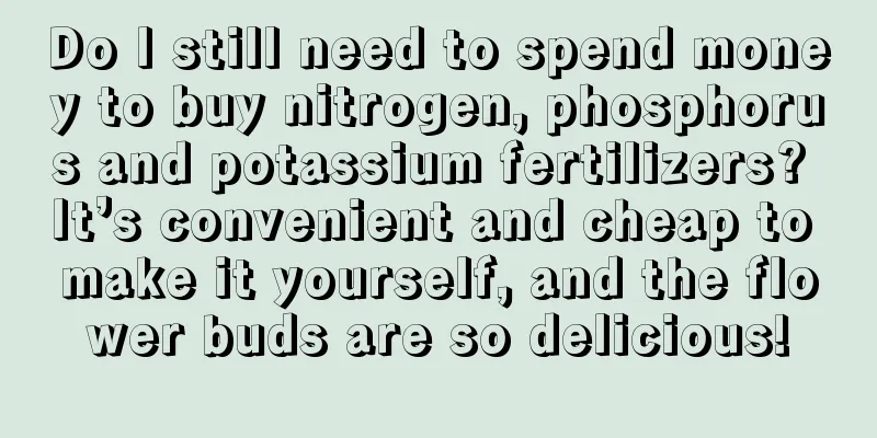 Do I still need to spend money to buy nitrogen, phosphorus and potassium fertilizers? It’s convenient and cheap to make it yourself, and the flower buds are so delicious!