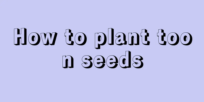 How to plant toon seeds