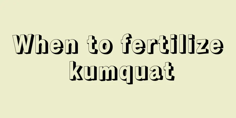 When to fertilize kumquat