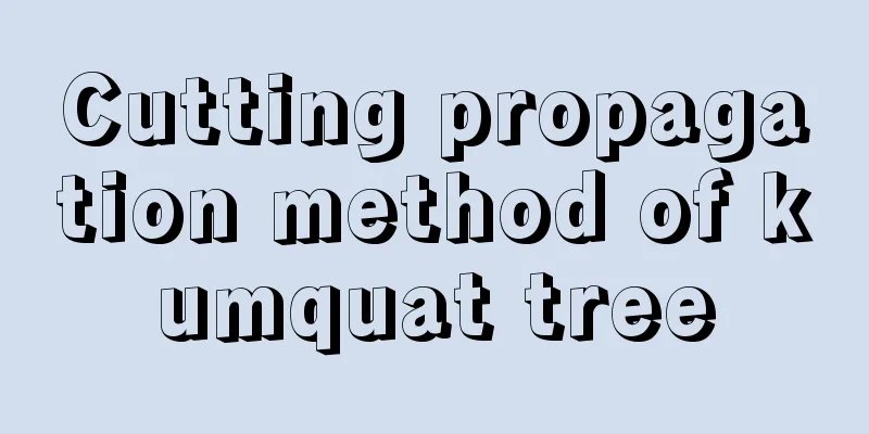 Cutting propagation method of kumquat tree