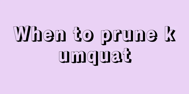 When to prune kumquat