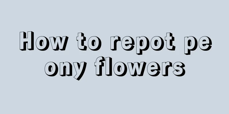 How to repot peony flowers