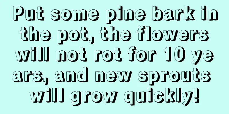 Put some pine bark in the pot, the flowers will not rot for 10 years, and new sprouts will grow quickly!