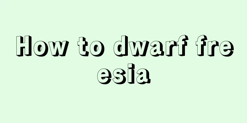 How to dwarf freesia