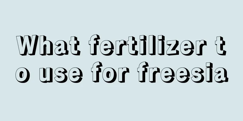 What fertilizer to use for freesia