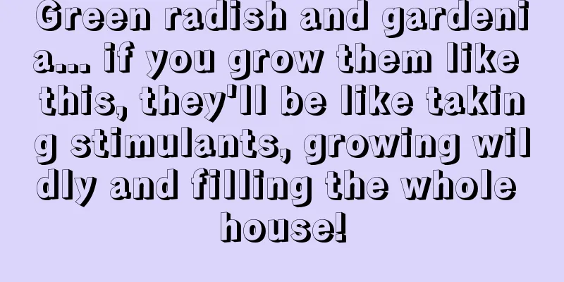 Green radish and gardenia... if you grow them like this, they'll be like taking stimulants, growing wildly and filling the whole house!