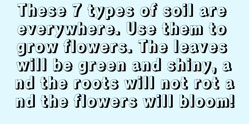 These 7 types of soil are everywhere. Use them to grow flowers. The leaves will be green and shiny, and the roots will not rot and the flowers will bloom!