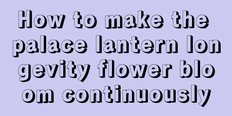 How to make the palace lantern longevity flower bloom continuously