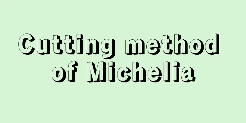 Cutting method of Michelia