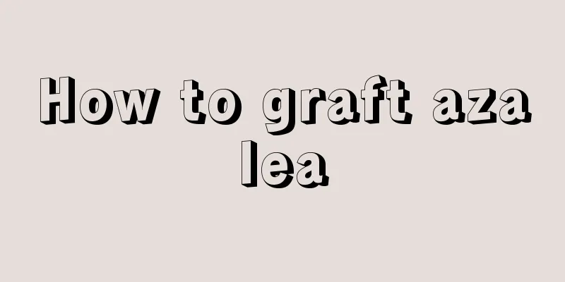 How to graft azalea