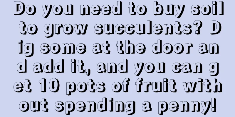 Do you need to buy soil to grow succulents? Dig some at the door and add it, and you can get 10 pots of fruit without spending a penny!