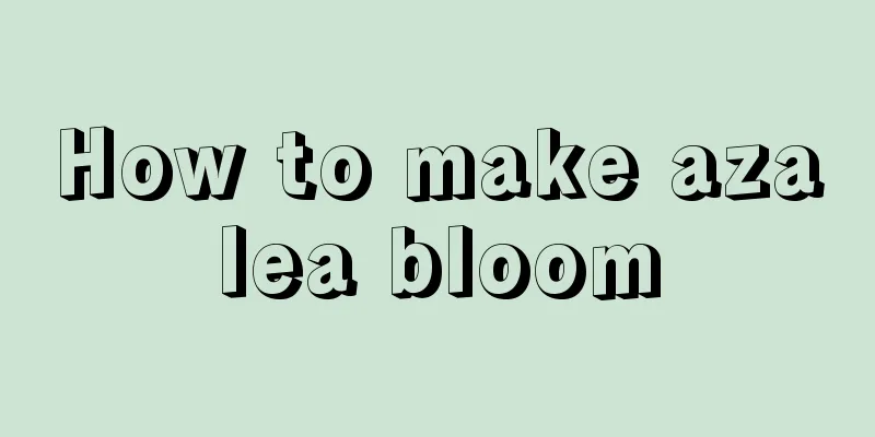 How to make azalea bloom