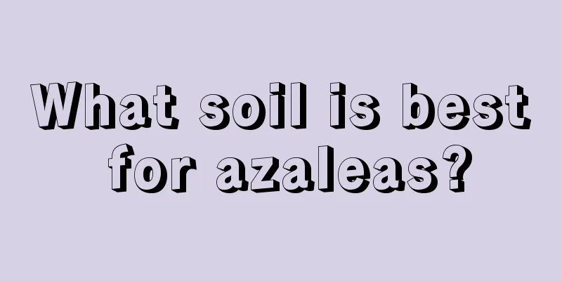 What soil is best for azaleas?