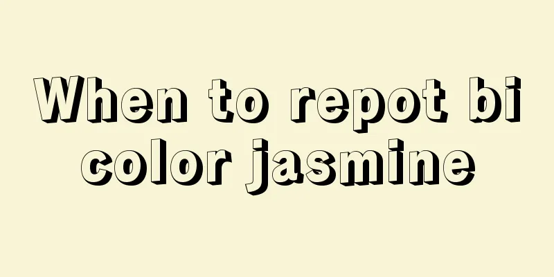 When to repot bicolor jasmine