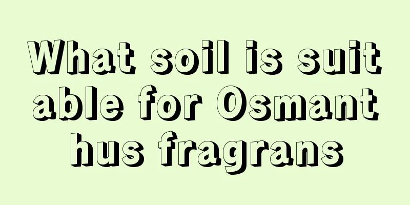 What soil is suitable for Osmanthus fragrans