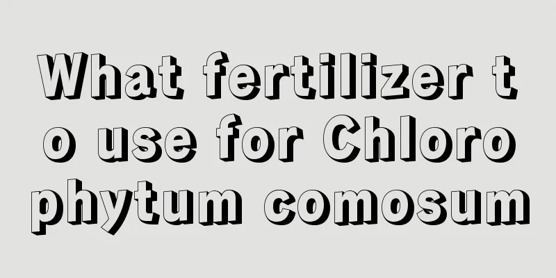 What fertilizer to use for Chlorophytum comosum