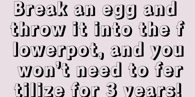 Break an egg and throw it into the flowerpot, and you won’t need to fertilize for 3 years!