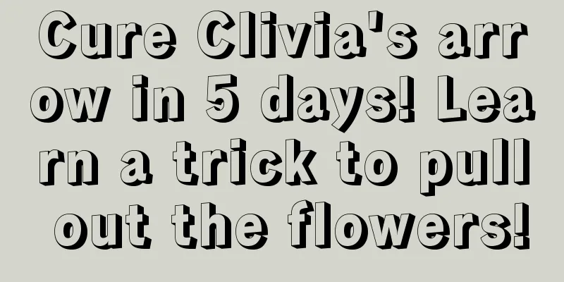 Cure Clivia's arrow in 5 days! Learn a trick to pull out the flowers!