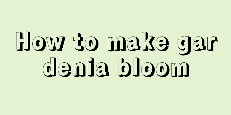 How to make gardenia bloom