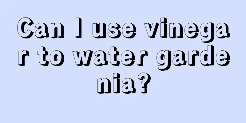 Can I use vinegar to water gardenia?