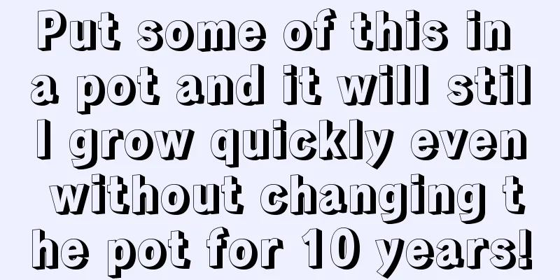 Put some of this in a pot and it will still grow quickly even without changing the pot for 10 years!