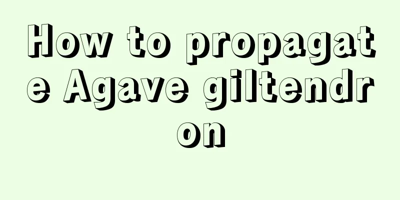 How to propagate Agave giltendron