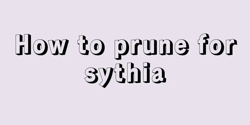 How to prune forsythia