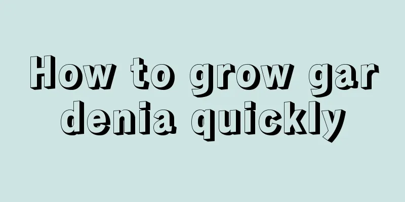 How to grow gardenia quickly